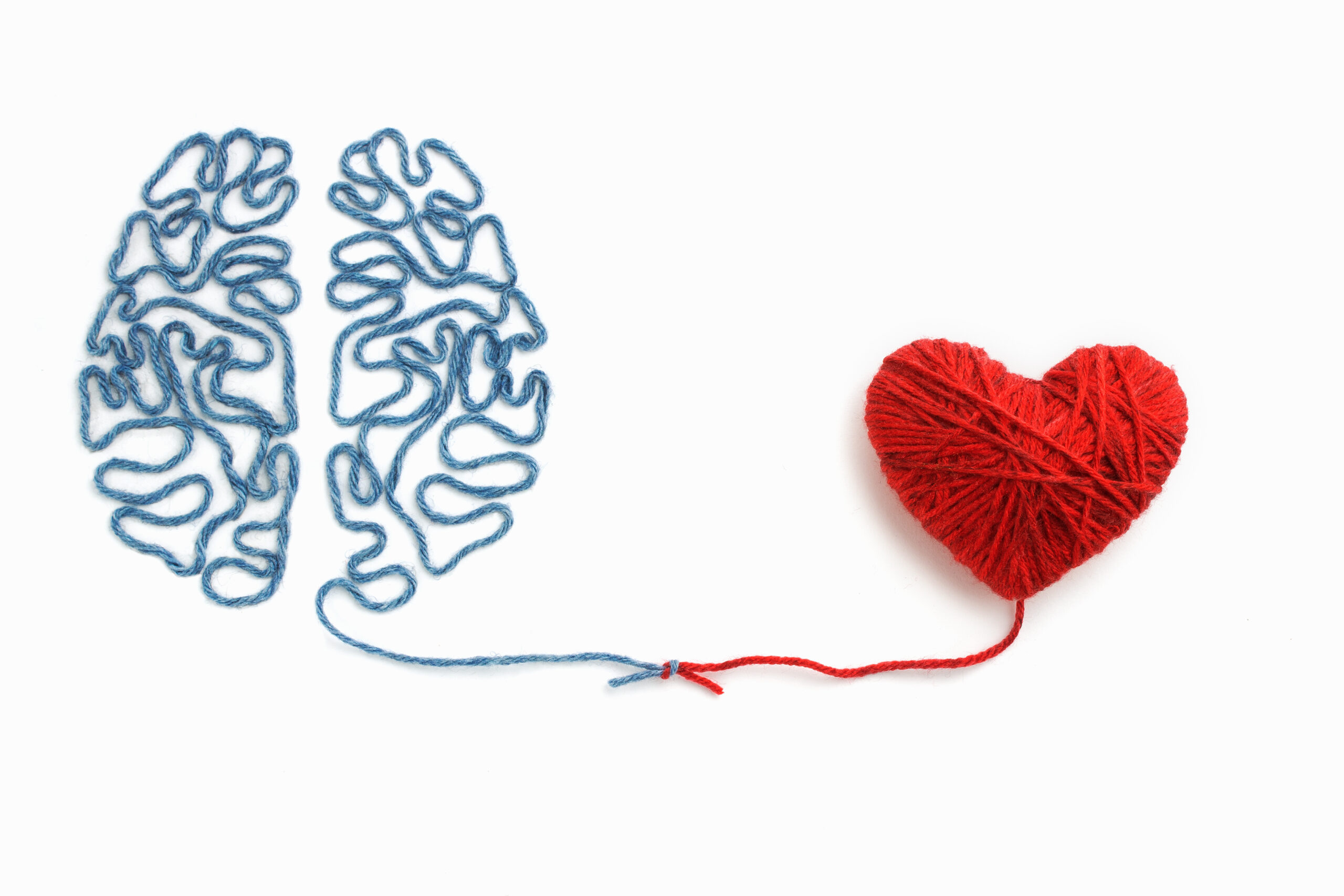 Heart,And,Brain,Connected,By,A,Knot,On,A,White Bliv psykoterapeut og få diplom i ledelse hos KH Terapi